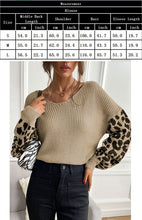 Ladies Crew Neck Leopard Print Contrasting Pullover Sweater