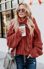 Women's  Thick Knit Turtleneck Pullover Sweater