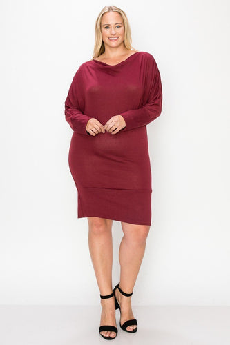 Long Sleeve Dress with Draped Neck and Banded Hem